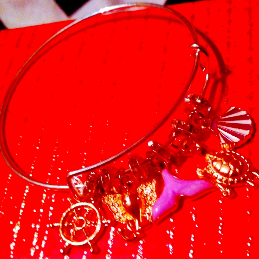 Charm Bracelet St. Valentine's Day!